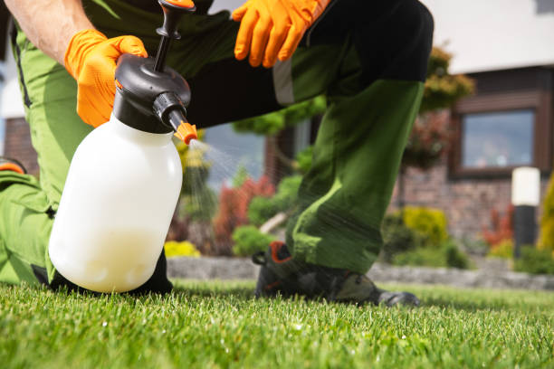 Best Commercial Pest Control Services  in , NH